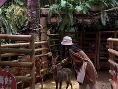 -正佳雨林生态植物园