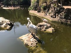 -昆明动物园