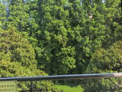 -上海虹桥迎宾馆