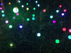 -昆山城市生态森林公园