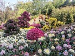 -杭州植物园