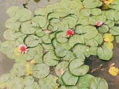 -大连植物园
