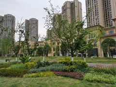 -府河摄影公园