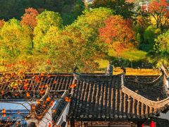 -塔川景区