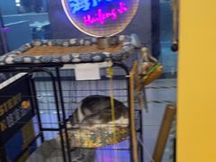 -谜盒子奇幻密室(南屏店)