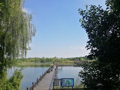 -溱湖国家湿地公园