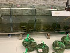 -呼吸森林·生态农庄农家乐私房菜