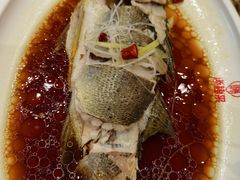 -添福来墨鱼饺子 · 海鲜东北菜(大连星海·黄浦路店)