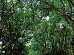 -共青国家森林公园-南大门停车场