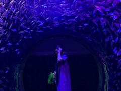 -成都浩海立方海洋公园