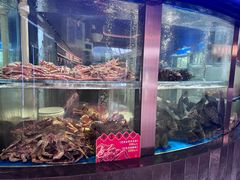 -1718海鲜姿造(苏宁宴请臻选店)