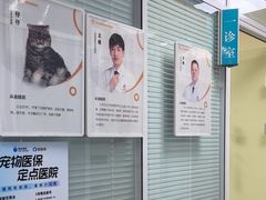 -全心全意连锁动物医院·微创中心·内科急重症·心脏专科(丰管路店)