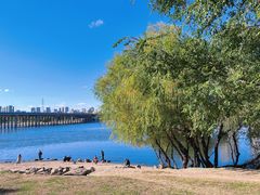 -长白岛森林公园