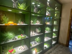 -慢丽江·云南野生菌土鸡锅(西山店)