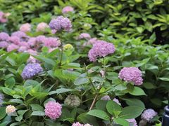 -常州古运河南大街文化旅游区-人民公园