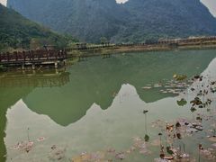 -钟山水墨田园