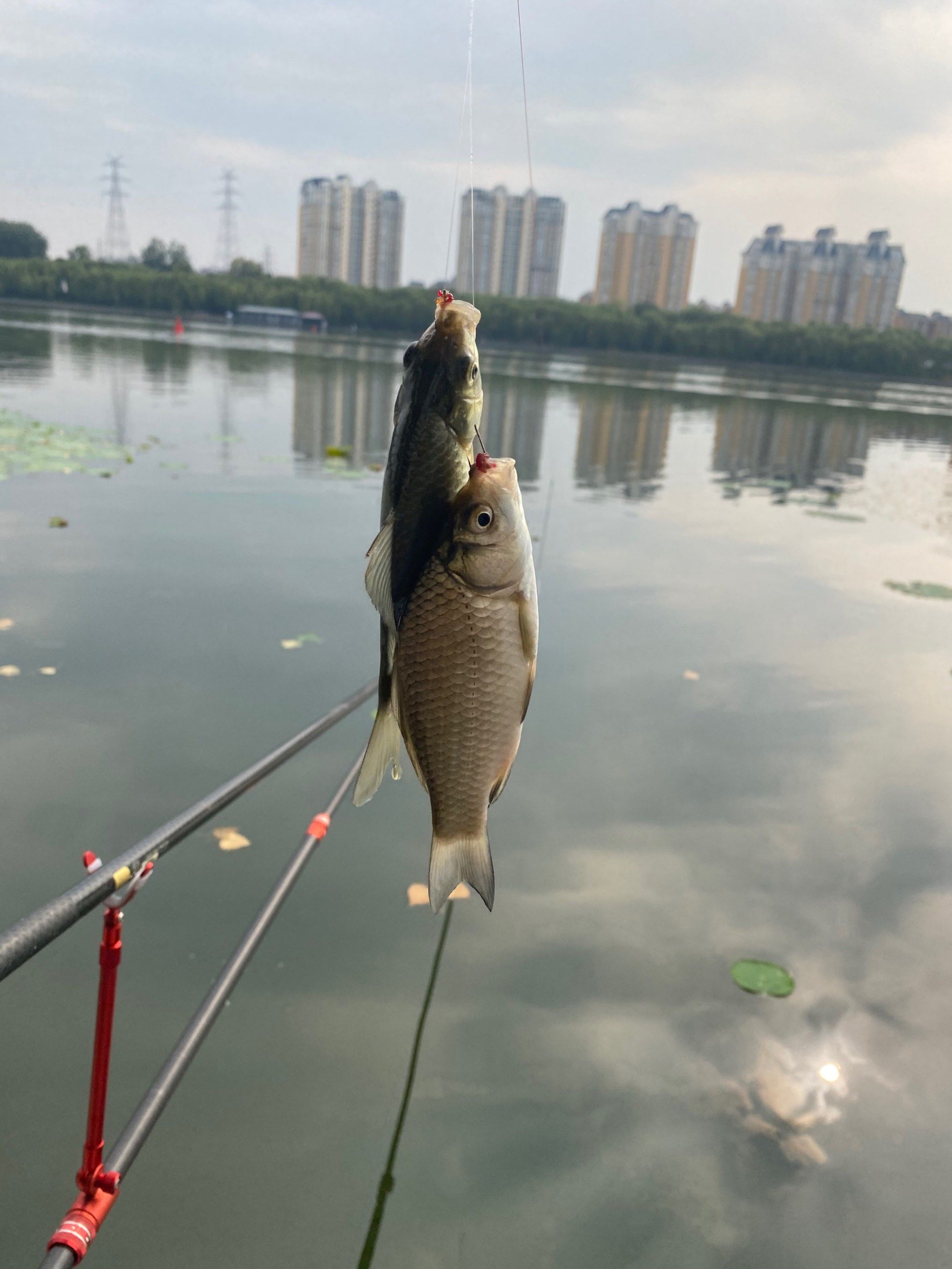 周末湖边垂钓的惬意