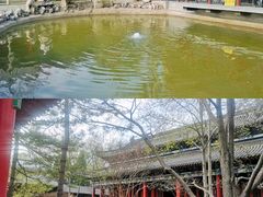 -碑林公园