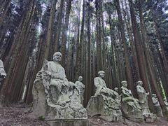 -武陵山森林公园