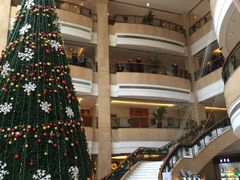 -成都天府丽都喜来登饭店