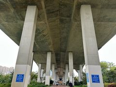-中澳友谊花园