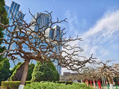 -天津五大道文化旅游区