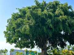 -德宏芒市国际机场