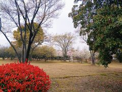 -石湖景区