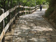 -大岭沟猕猴桃谷风景区