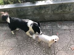 -喷泉公园