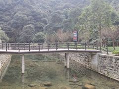 -宁波五龙潭景区