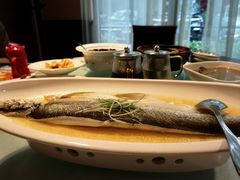 -席家花园(巨鹿花园店)