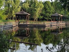 -同里国家湿地公园