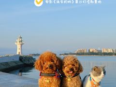 -清水湾旅游度假区