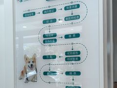 -瑞派康怡24h宠物医院·犬猫医疗中心·微创绝育(瑞景分院)
