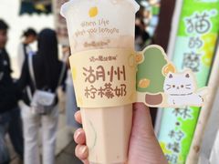 -猫的魔法密林(衣裳街店)
