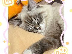 -南方医科大学深圳医院