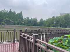 -楚秀园