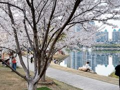 -西北湖绿化广场