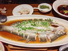 -鸽舞笙平金牌烧鸽子·融合菜(鲁谷店)