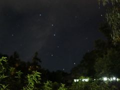 -芦沟竹海