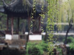 -拙政园