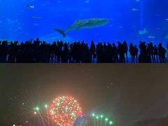 -珠海长隆海洋王国