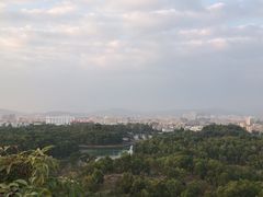 -聚龙山公园