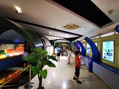 -上海昆虫博物馆