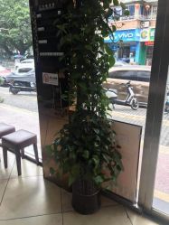-环球蝶上美业连锁