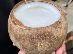 -椰爺爺·椰子冻砵仔糕