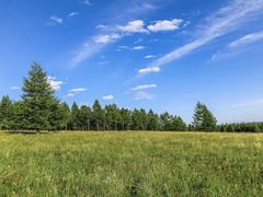 -塞罕坝国家级自然保护区