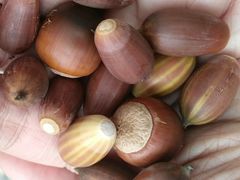 -白塘生态植物园
