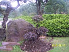 -昆山城市生态森林公园